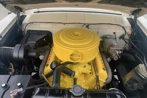 155897866
